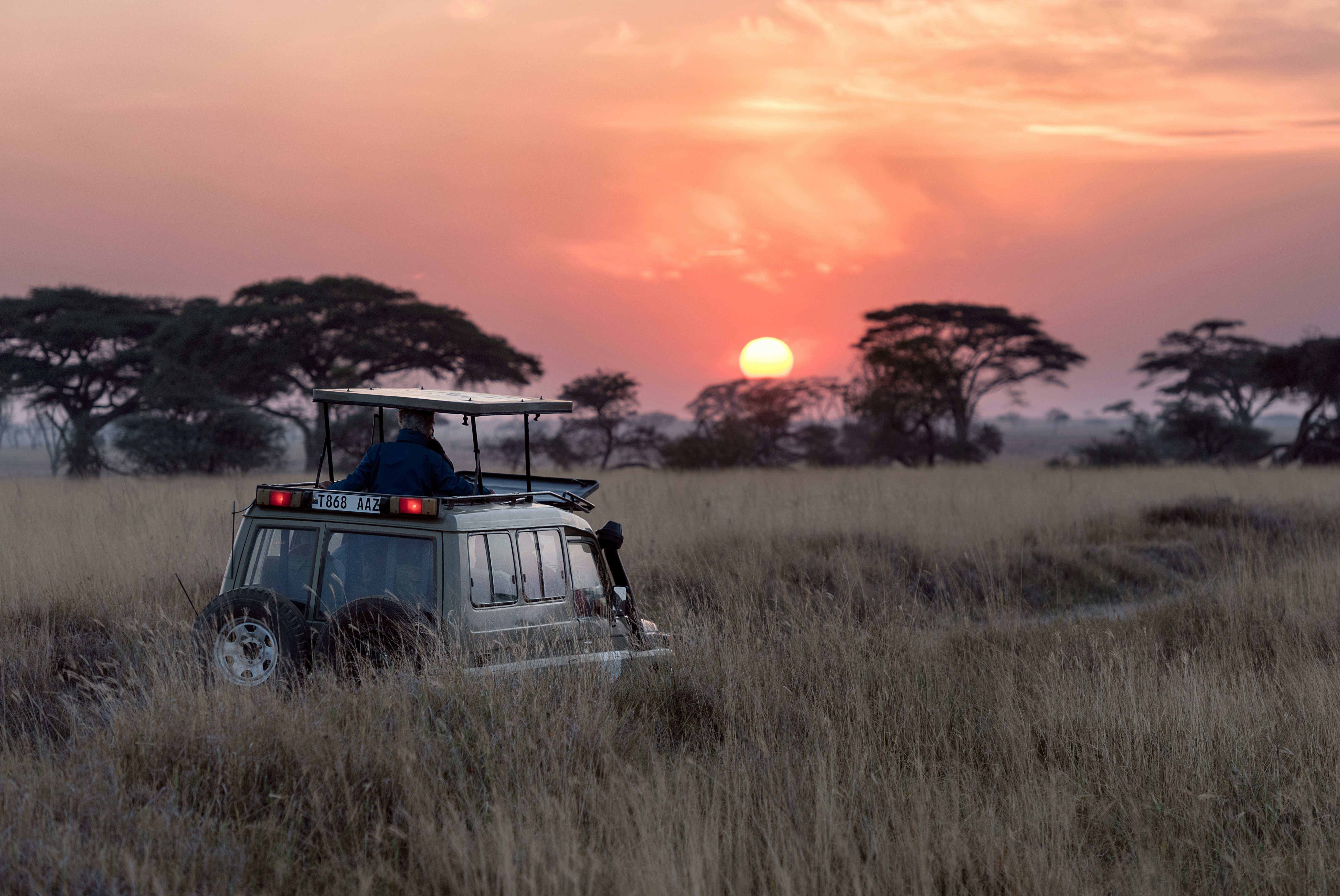 Safari & Wildlife